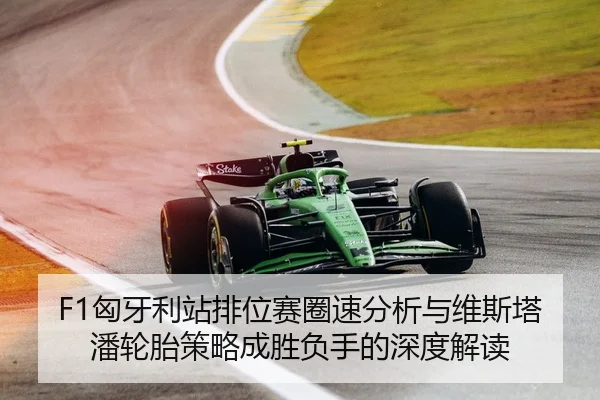 F1匈牙利站排位赛圈速分析与维斯塔潘轮胎策略成胜负手的深度解读